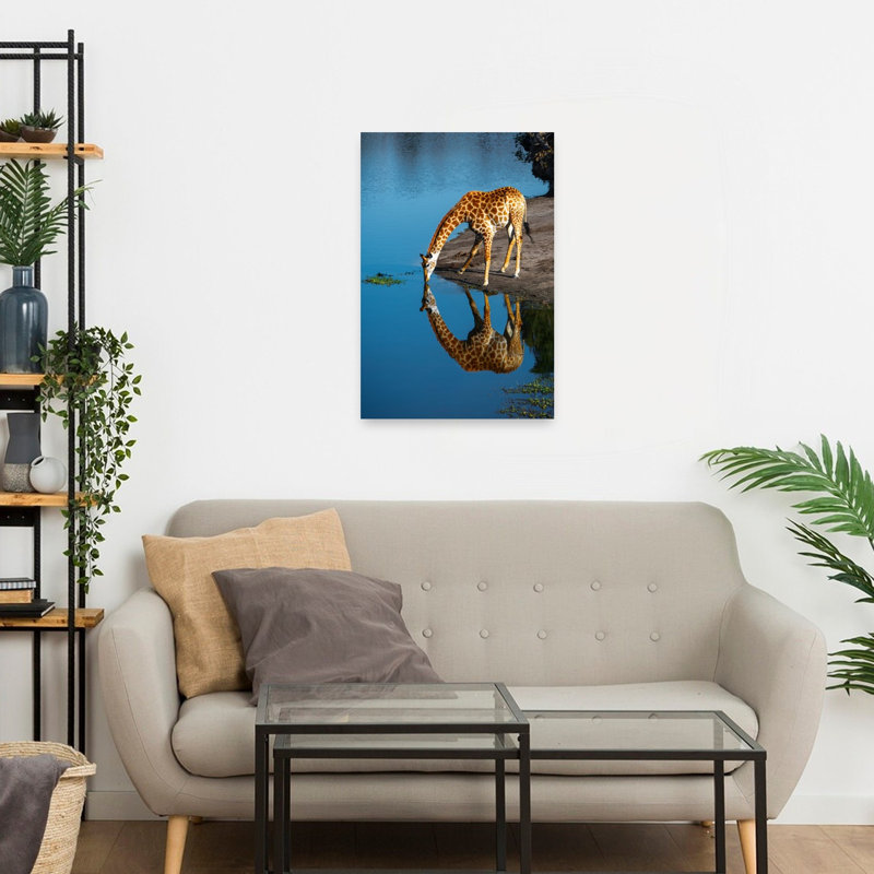 Drinking Giraffe Reflection Contemporary Wall Art Print, 60.96cm H x 40.64cm W