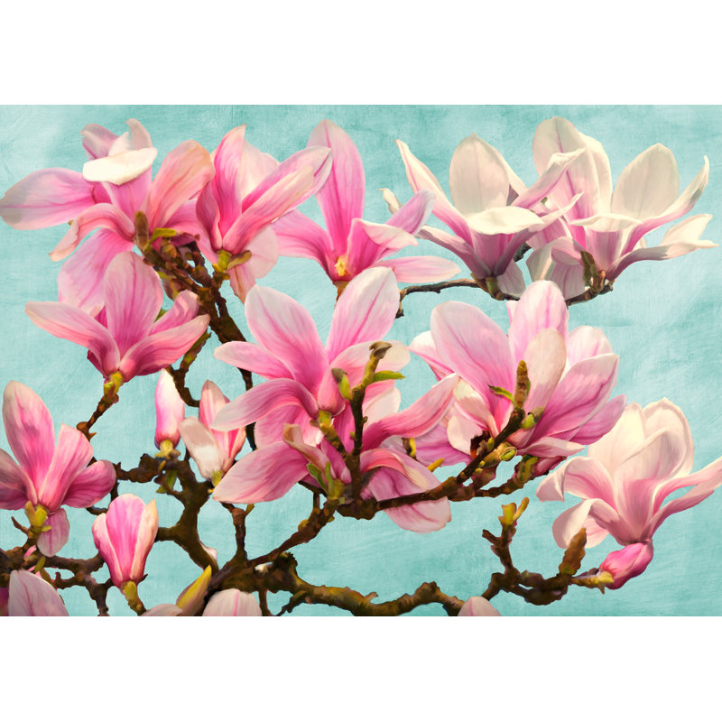 Magnolia Branch by Luca Villa - Wrapped Canvas Art Prints, 70cm H x 100cm W x 4cm D