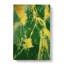 Golden Cracks - Wrapped Canvas Print-61887155