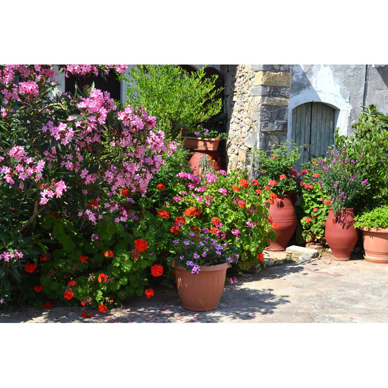 Plant Pots With Flowers by DutchlightNetherlands - Wrapped Canvas Print, 30cm H x 46cm W