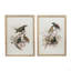S/2 Bird Framed Print, 19.5X27.5"