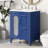Bathroom Vanity with Sink