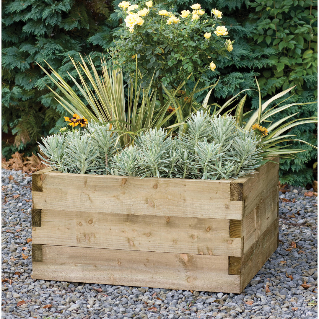 Caledonian Wood Raised Garden Bed