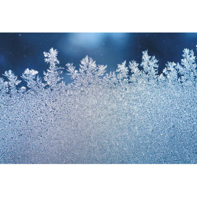 Ice Frost - Wrapped Canvas Print
