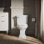 Brevia Toilet Seat with Quick-Release Hinges and Grip-Tight Bumpers-613614078-559542288