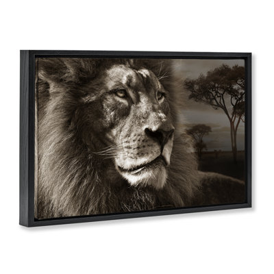 Lion Portrait over Savanna