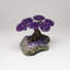 Small Amethyst Clustered Gemstone Tree on Amethyst Matrix (The Protection Tree)