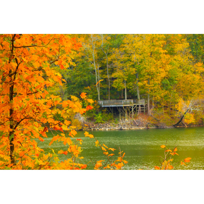 Parc d'État Adaela Caesar Creek, H 8 po x l 12 po