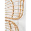 Insects Wall Decor-1243500942