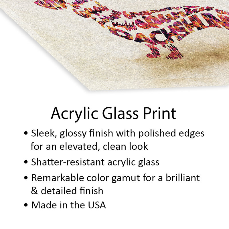 Impression de teckel sur verre acrylique, H 16 po x l 24 po x P 0,25 po