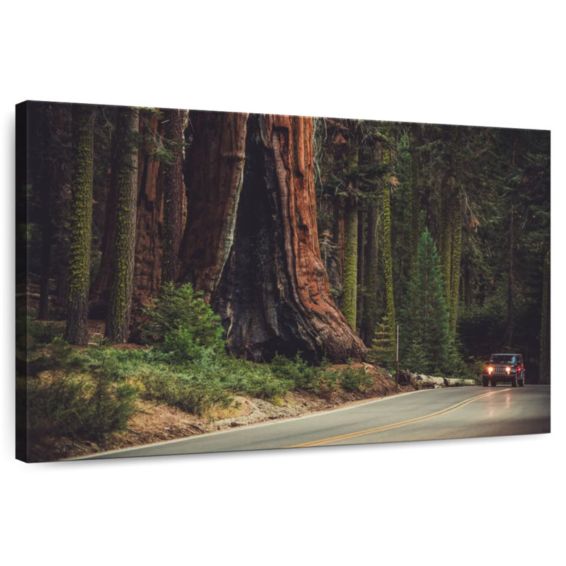Harnek Sequoia Lined Highway, 8" H x 12" W