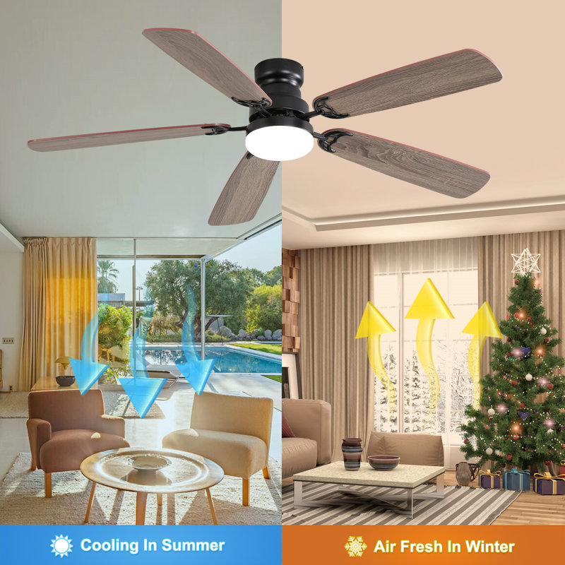 Shalese 52'' Ceiling Fan with LED Lights, Matte Black, Walnut