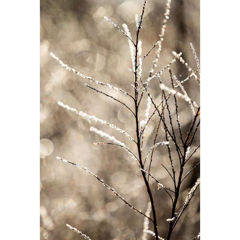 Wrapped Canvas Print, 76.2 cm H x 50.8 cm W