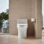 San Souci™ 1.28 GPF Elongated One-Piece toilet (Seat Included)-2090003061-2141545907