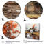 Art mural sur toile Barns-565159214-587434409