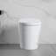 Tankless Smart Toilet With Bidet Built In, One-Piece, Auto Flush, Auto Open/Close,Heated Seat, Bubble Wash,Warm Water And Dry, Adjustable Temp,Remote Control Side Know