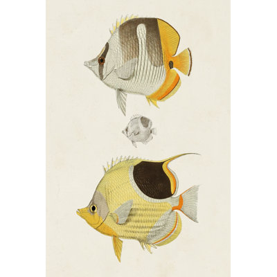 Poisson jaune et gris II - peinture sur toile tendue