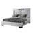 Oscar BED-1248329515-1243741911
