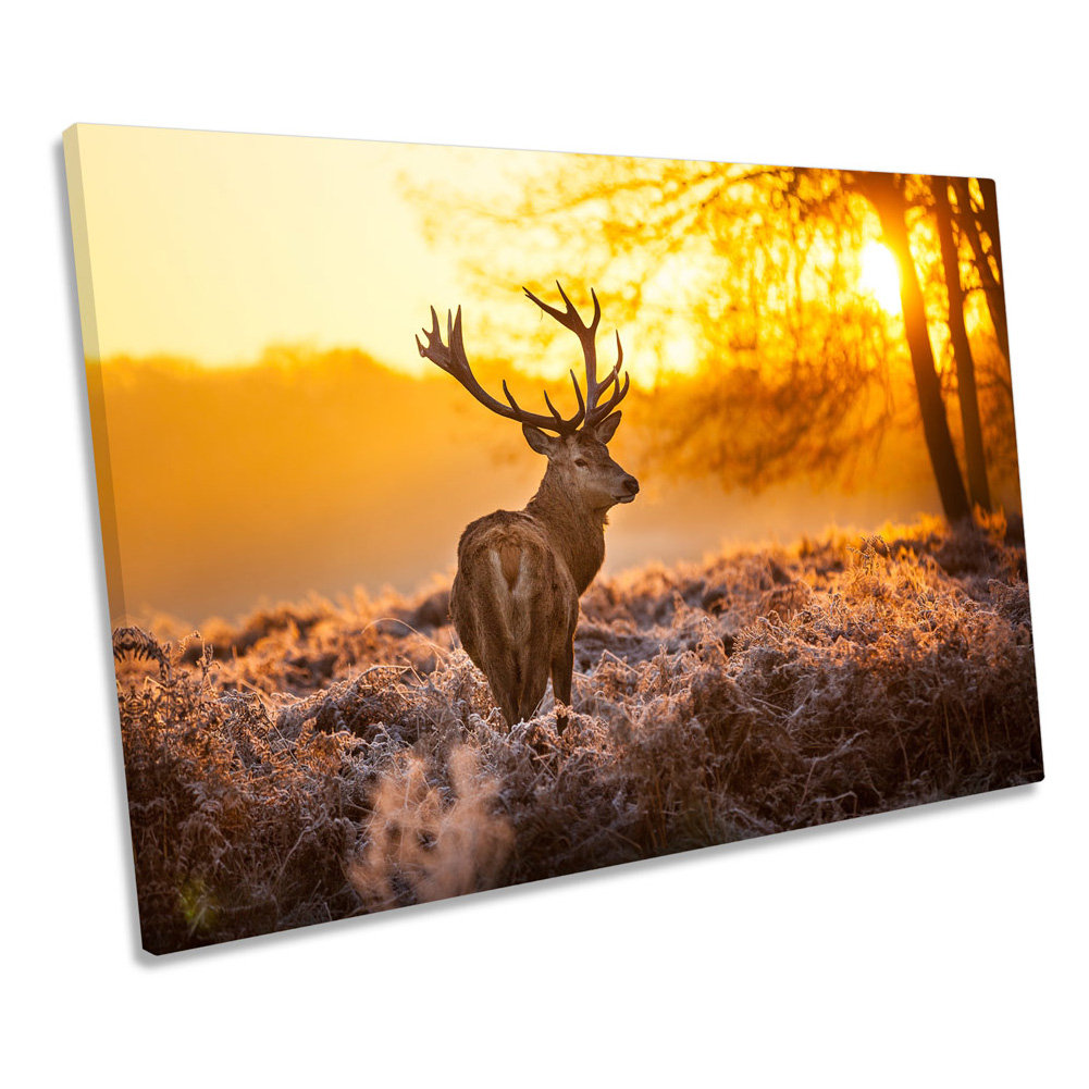 Stag Deer Sunset Forest - Wrapped Canvas Art Prints