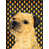 Border Terrier (Beige)