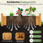 Wood Planter Box