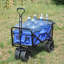 Chariot de plage pliable-111947275