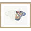 Papillon Croquis 1 Print