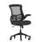 Regent Park Ergonomic Swivel Task Chair with Roller Wheels & Flip Up Arms-74891229-74891230