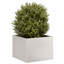 Pot Planter