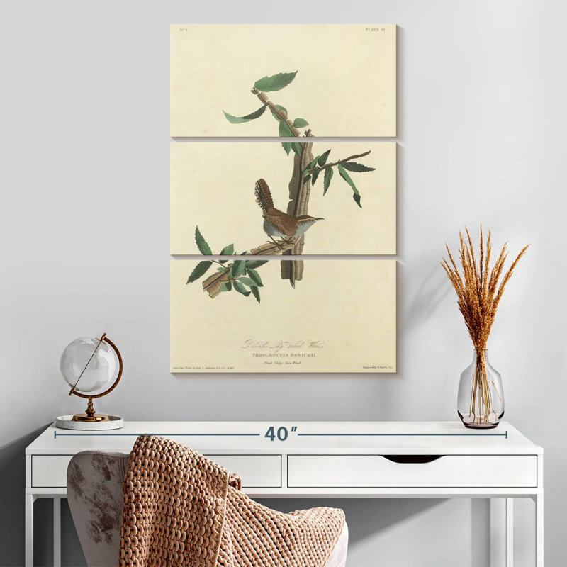 Keiri Bewick's Wren, 45" H x 28" W