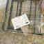 Customer photo 3 of 3