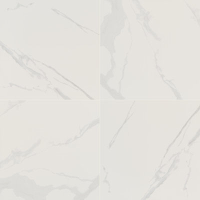 Ardena 24 in. x 24 in. Polished Porcelain Stone Look Floor and Wall Tile