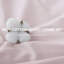 Ensemble de housse de couette 100% coton-115064456-115064462