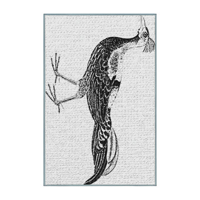 Tapis noir Animal
