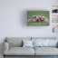 Art sur toile Renee Doyle Bear Huddle-985580520