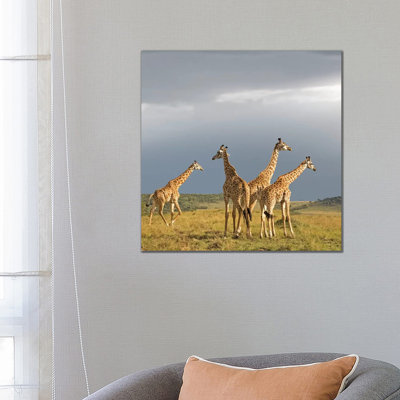 Colour Giraffe Herd II 1 Piece Wrapped Canvas Wall Art