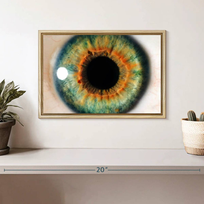 Green Eye, 13" X 9", Floating Frame Natural Wood