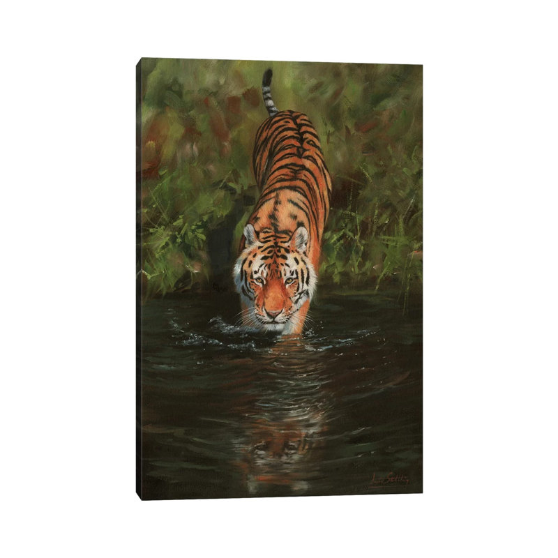Tiger Cooling Off by David Stribbling - Gallery-Wrapped Canvas Giclée on Canvas, Canvas, 66.04 cm H x 45.72 cm W x 1.91 cm D