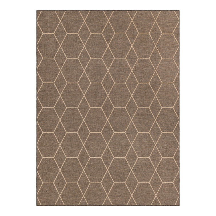 Geometric Indoor Rug