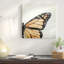 « the monarch », reproduction de photo sur toile tendue-74617139-74617137-74617138