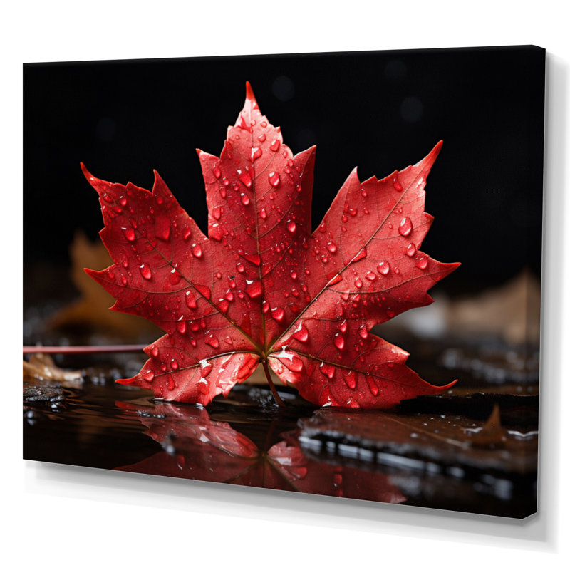 Canada Canada Pride III, H 30 po x l 40 po x P 1,5 po