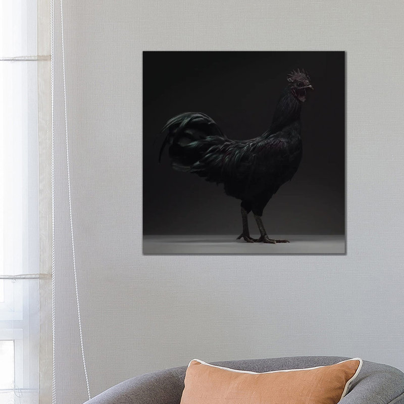 Ayam Cemani by CHICken - Wrapped Canvas Print, 66.04 cm H x 66.04 cm W x 1.91 cm D