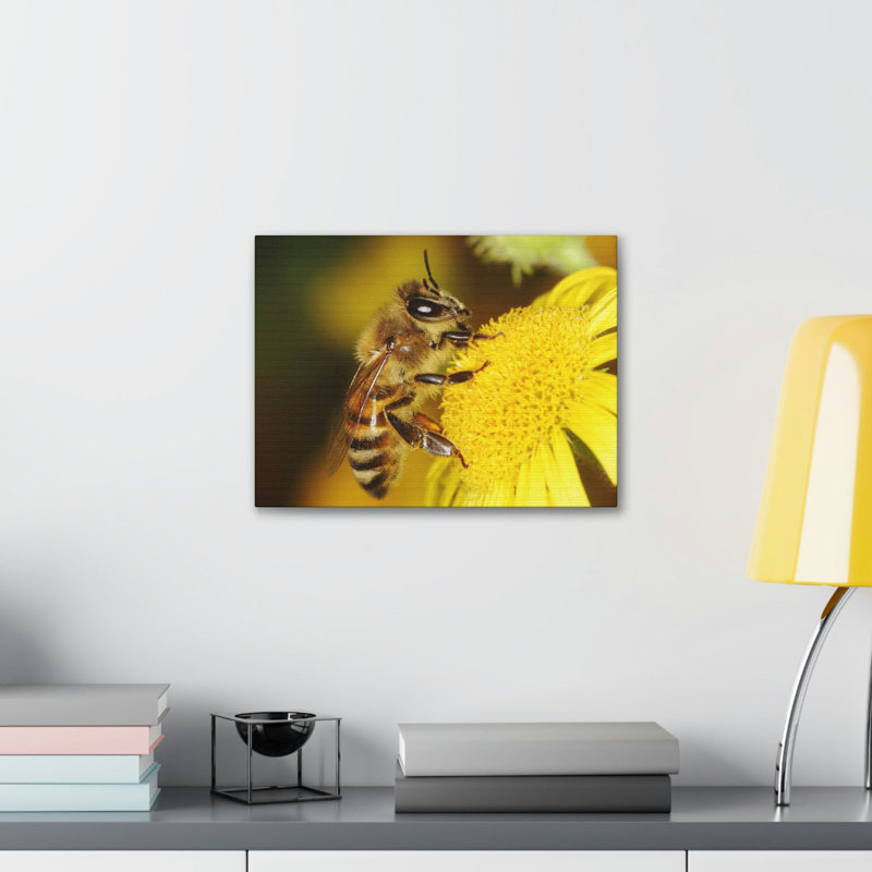 No Frame Print on Canvas, 27.94cm H x 35.56cm W