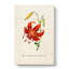 Illustration Of A Tiger Lily Flower - Wrapped Canvas Painting-55304591