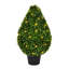 Buisson en forme de goutte de buis en forme de buisson-1015882173