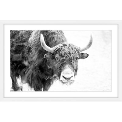 «Buffalo Vers l'avant», reproduction d'art encadrée sur papier