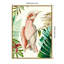 «Tropical Bird I» par Aimee Wilson, reproduction d'art sur toile encadrée-109556495