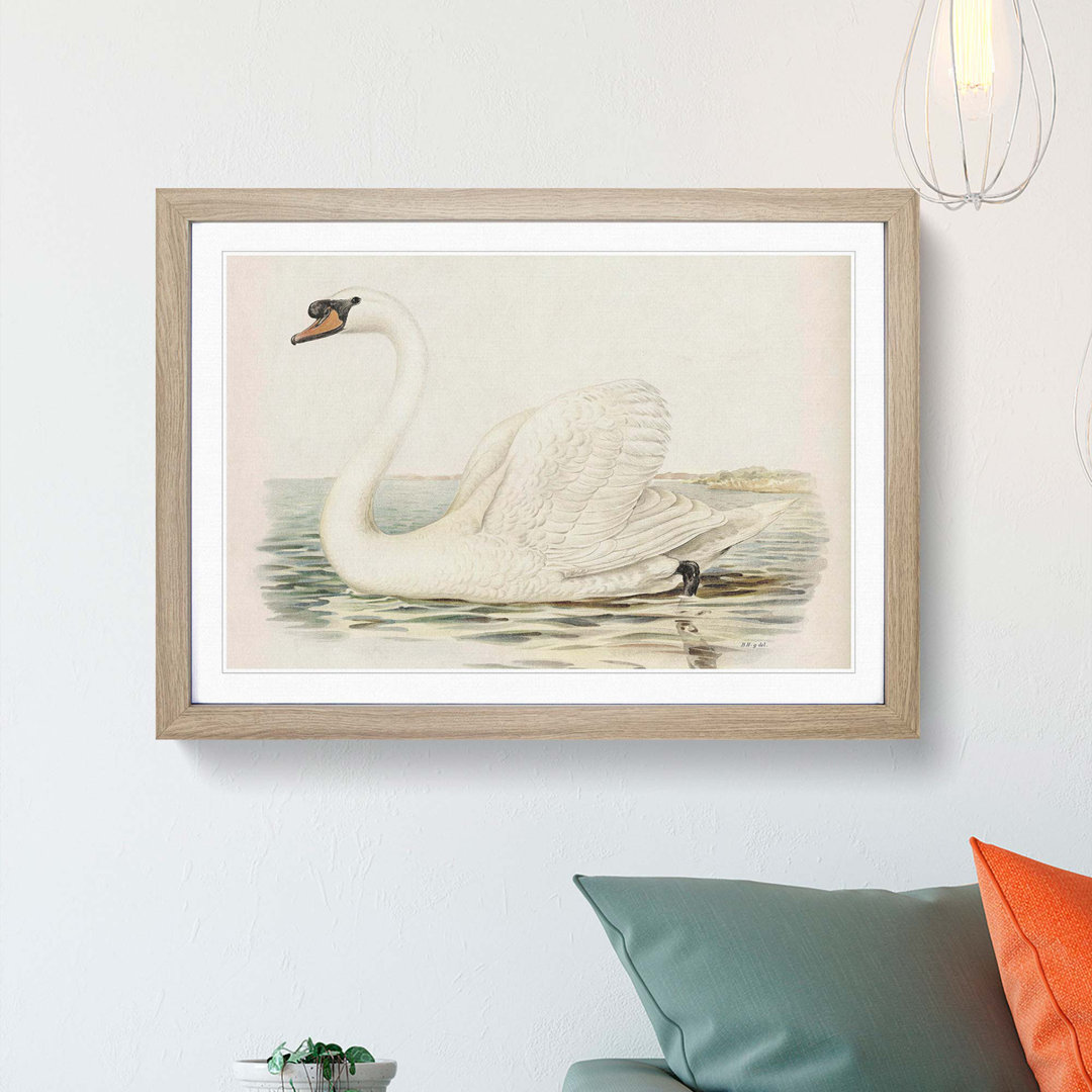 White Swan by Von Wright - Picture Frame Art Prints