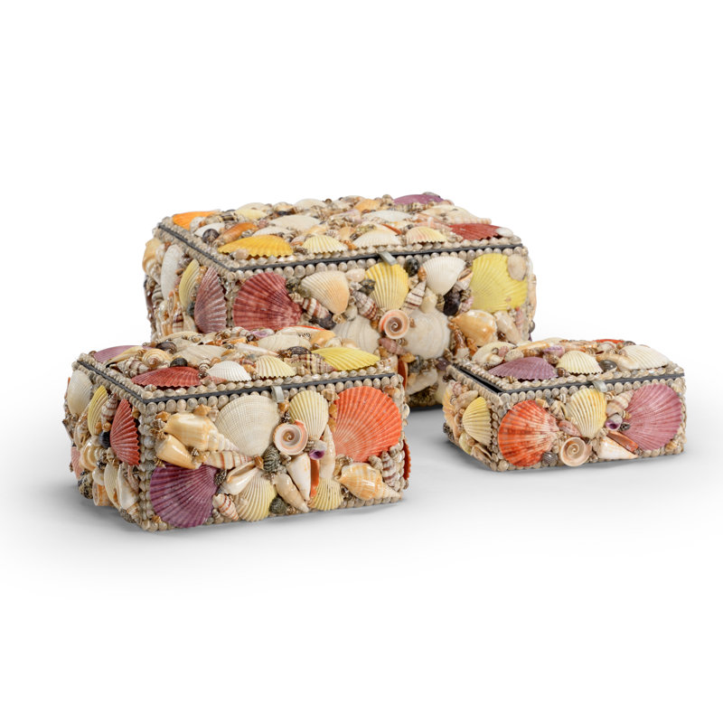 Shell Decorative Box