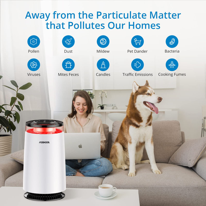 Purificateur d'air avec filtre HEPA
